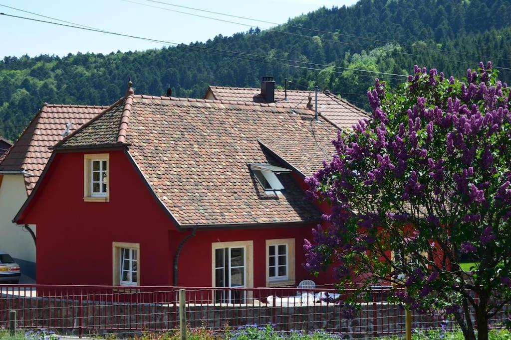 Doller Villa 4 Stars Hot Tub Mountain Ski Ballon D'Alsace Sewen Luaran gambar